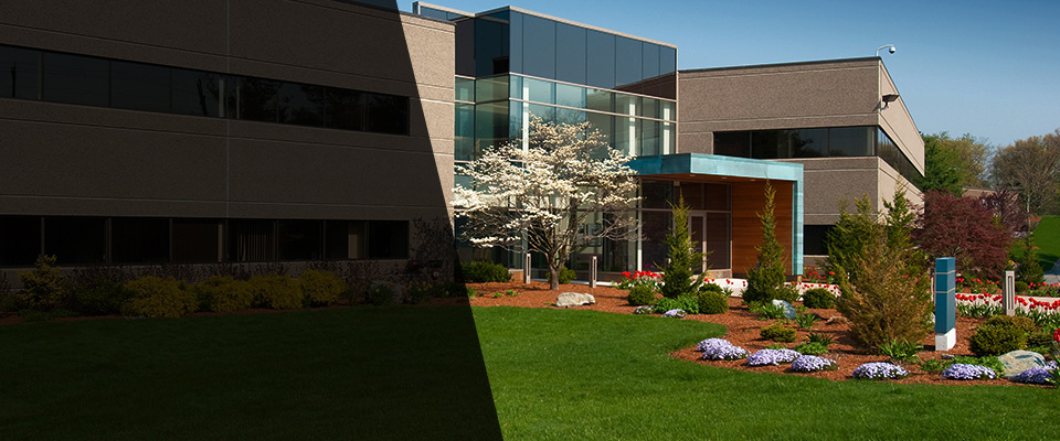 Shelton Landscapers