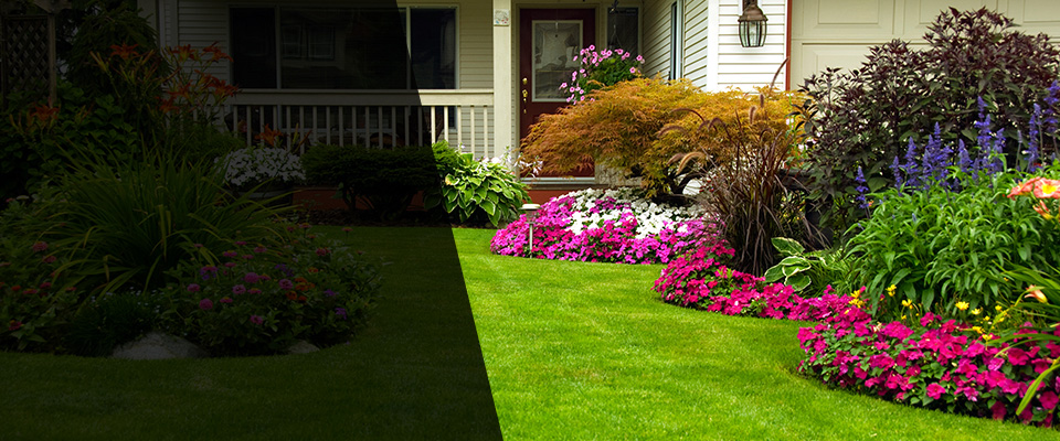 Shelton Landscapers