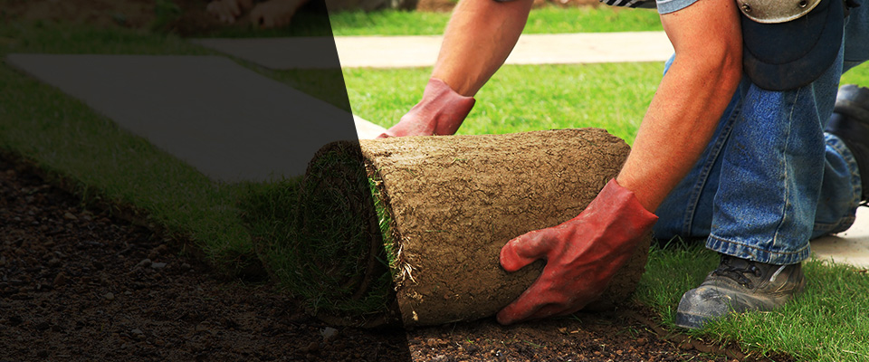 Shelton Landscapers